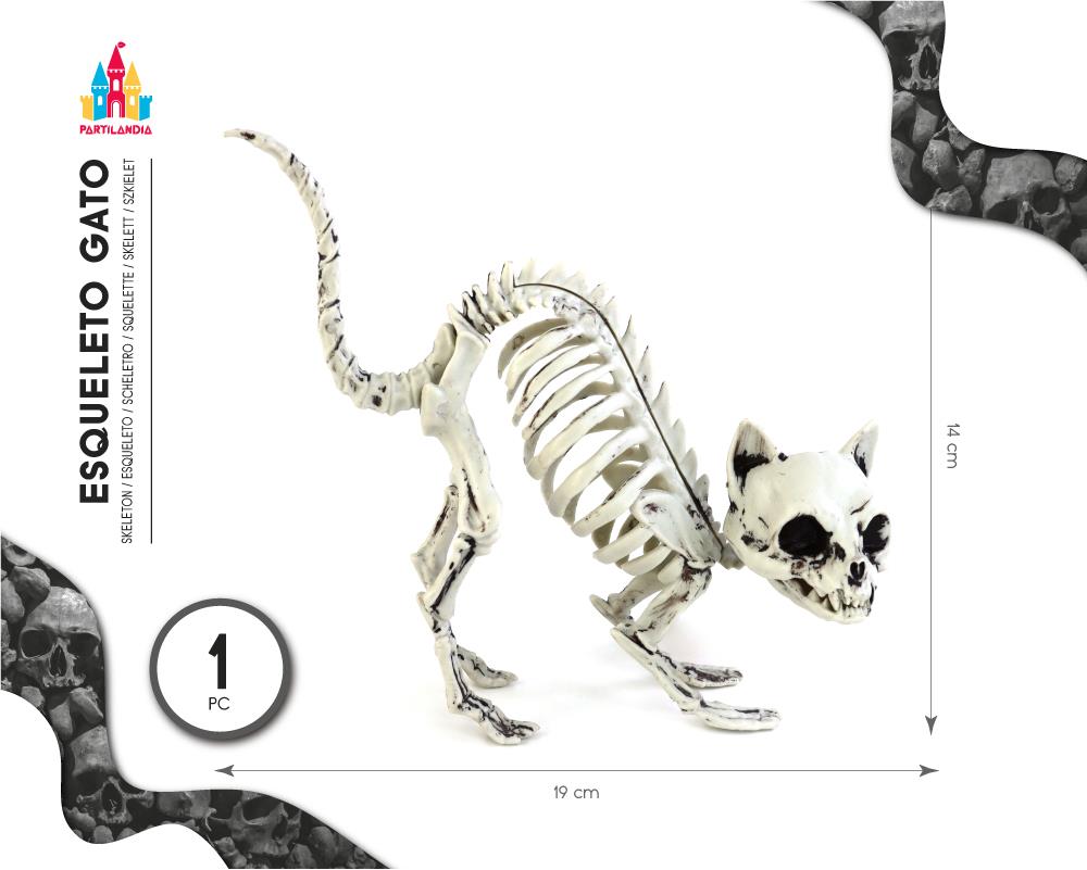 ESQUELETO DE GATO