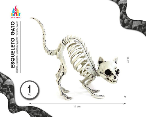 ESQUELETO DE GATO